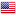 USA usaflag